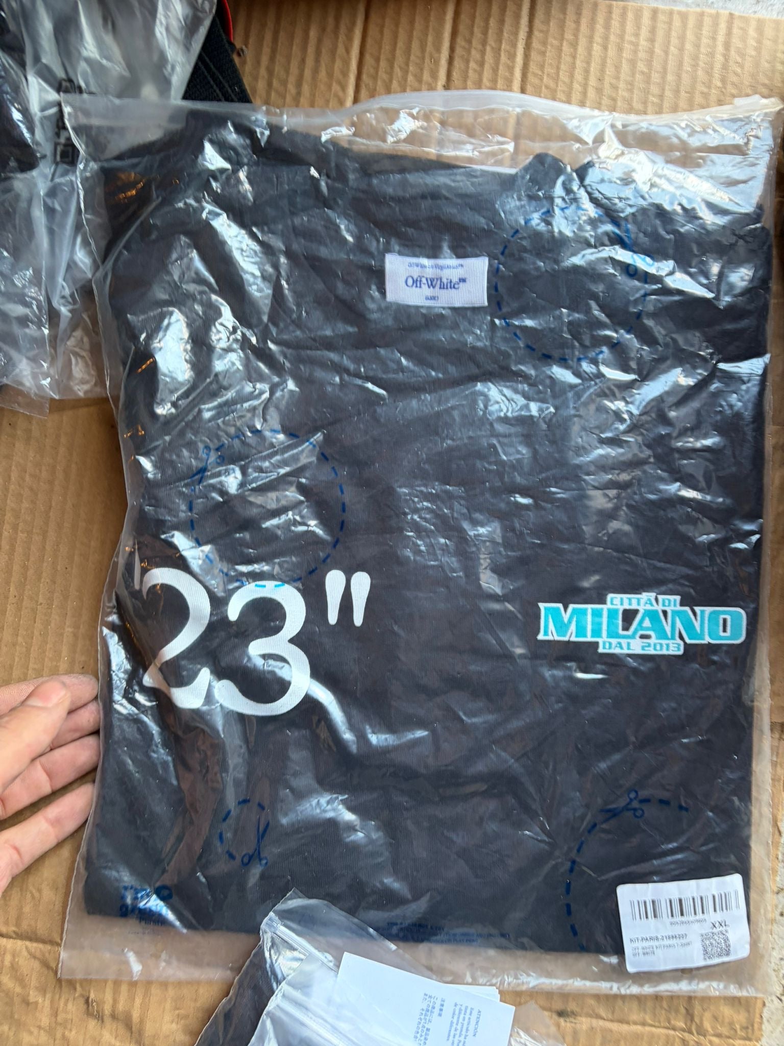 Box 31 (XXL)