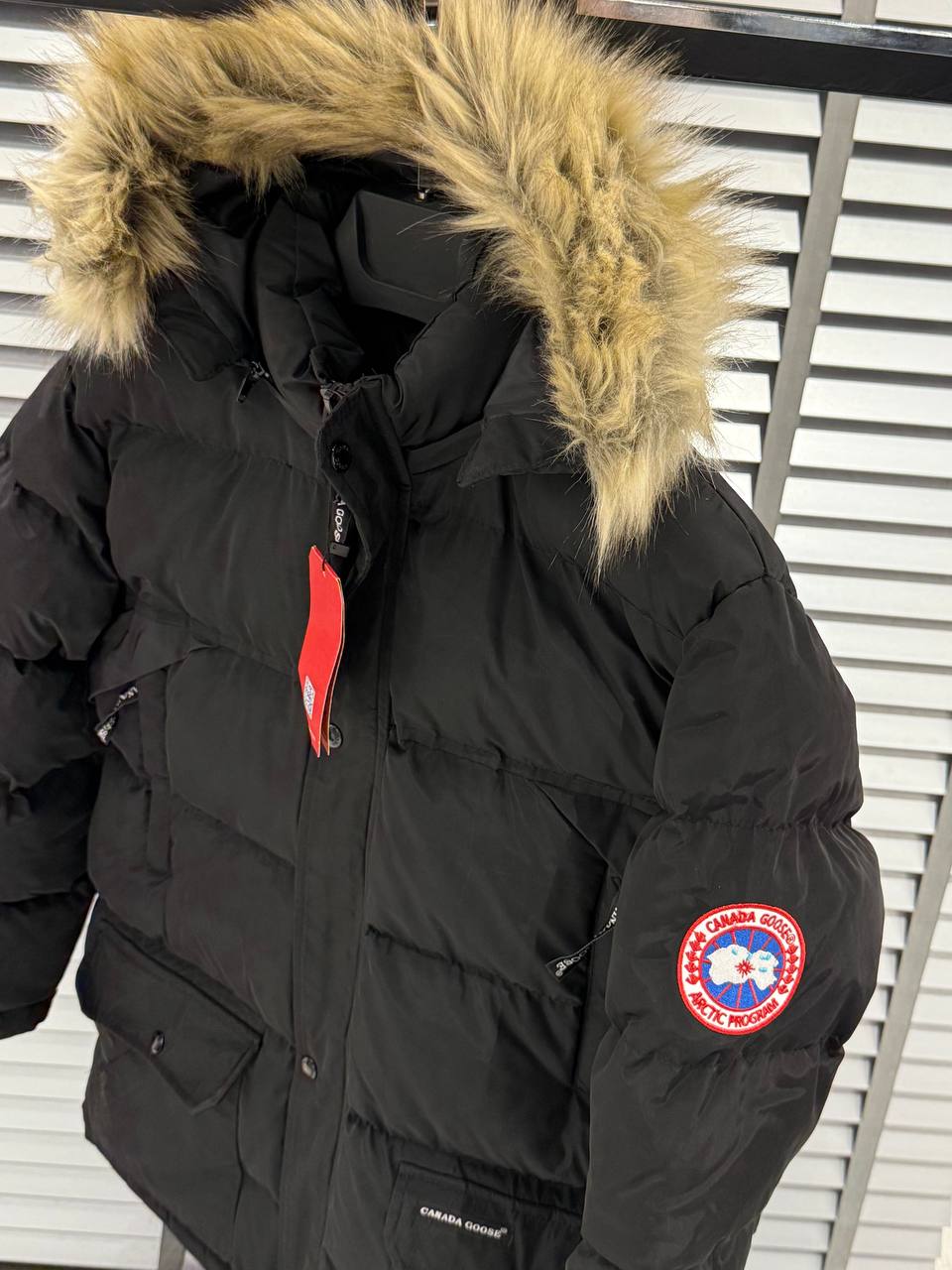 Canada Goose