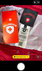 Wellensteyn